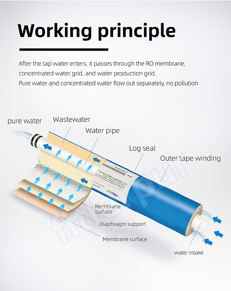 ro membrane company