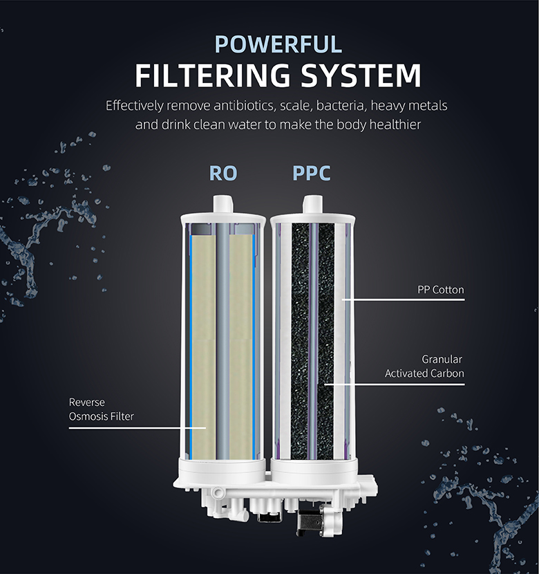 Water purifier filter